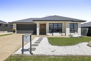 House For Sale - QLD - Torrington - 4350 - Modern family home packed with features  (Image 2)