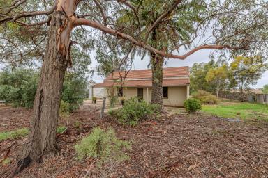 House For Sale - VIC - Rainbow - 3424 - Get ready to roll your sleeves up! (Image 2)