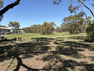 Residential Block For Sale - VIC - Birchip - 3483 - Quick, call your builder!  (Image 2)