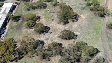 Residential Block For Sale - VIC - Birchip - 3483 - Quick, call your builder!  (Image 2)