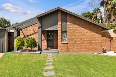 House For Sale - VIC - Mildura - 3500 - The Complete Family Sanctuary with Dual Living  (Image 2)