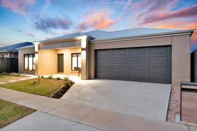 House For Sale - VIC - Mildura - 3500 - The Ideal Upgrade for Families Seeking Space and Simplicity  (Image 2)