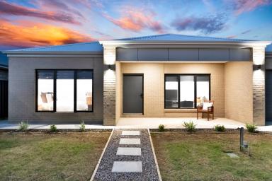 House For Sale - VIC - Mildura - 3500 - The Ideal Upgrade for Families Seeking Space and Simplicity  (Image 2)