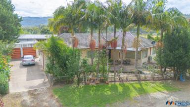 House For Sale - VIC - Myrtleford - 3737 - Productive Land, Renovation Potential & Town Proximity  (Image 2)