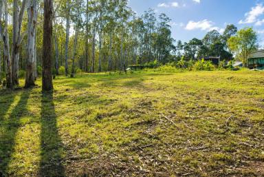 Residential Block For Sale - NSW - Drake Village - 2469 - GOLDEN OPPORTUNITY (Image 2)