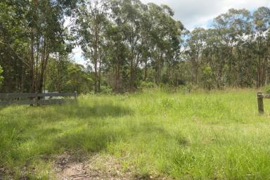 Residential Block For Sale - NSW - Drake Village - 2469 - GOLDEN OPPORTUNITY (Image 2)