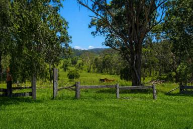 Residential Block For Sale - NSW - Drake Village - 2469 - COUNTRY ROAD, TAKE ME HOME  (Image 2)