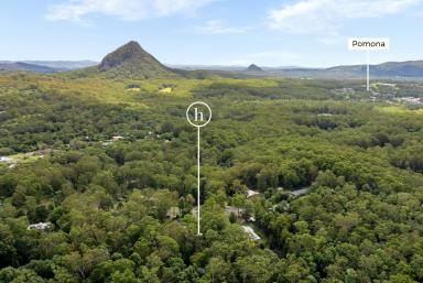 House For Sale - QLD - Pomona - 4568 - Leafy Oasis Haven in Cul De Sac, Direct Noosa Trail Access  (Image 2)