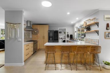 House For Sale - QLD - Pomona - 4568 - Leafy Tranquil Haven in Cul De Sac, Direct Noosa Trail Access  (Image 2)