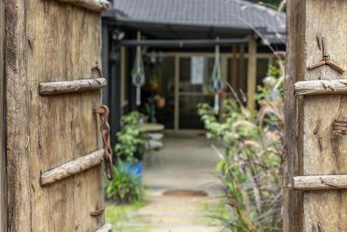 House For Sale - QLD - Pomona - 4568 - Leafy Oasis Haven in Cul De Sac, Direct Noosa Trail Access  (Image 2)