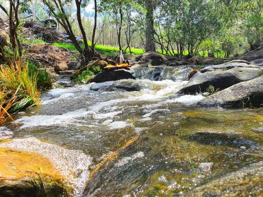 Mixed Farming For Sale - NSW - Kyogle - 2474 - “EMBER VALLEY FARM” – 400 Acres @ Ghinni Ghi, KYOGLE North Coast of NSW  (Image 2)