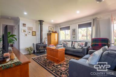 House For Sale - NSW - Glen Innes - 2370 - Neat Two-Bedroom Home  (Image 2)