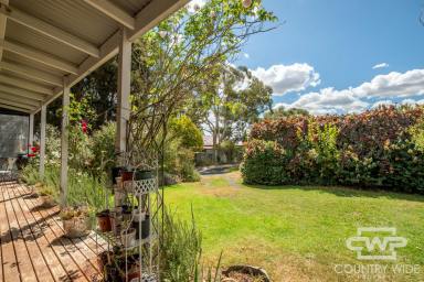 House For Sale - NSW - Glen Innes - 2370 - Neat Two-Bedroom Home  (Image 2)