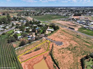 Residential Block For Sale - VIC - Red Cliffs - 3496 - VACANT LAND, GREAT VALUE  (Image 2)