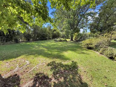 House For Sale - NSW - Narrandera - 2700 - FAMILY LIVING AT IT'S FINEST  (Image 2)