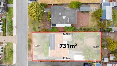 House For Sale - WA - Kewdale - 6105 - Classic Brick & Tile on 731sqm with Future Potential  (Image 2)