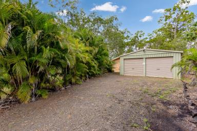 House For Sale - QLD - South Kolan - 4670 - Rare Acreage Renovation Opportunity in Tranquil South Kolan  (Image 2)