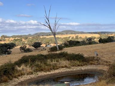 Livestock For Sale - NSW - Bigga - 2583 - 12 Hectares, Rural Grazing Country in Historic Bigga, Perfect Building Location  (Image 2)