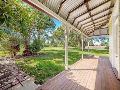 Lifestyle For Sale - NSW - Codrington - 2471 - Lifestyle and Agricultural Opportunity  (Image 2)