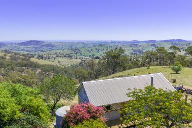 Lifestyle Auction - NSW - Wyangala - 2808 - Charming cabin on 54Acres*!  (Image 2)