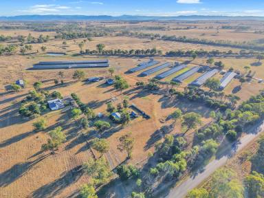 Mixed Farming For Sale - NSW - Duri - 2344 - A highly productive broiler operation located in the Tamworth District  (Image 2)