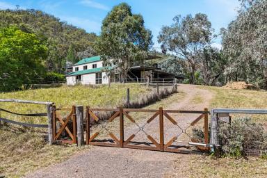 Lifestyle For Sale - QLD - Hirstglen - 4359 - DUAL LIVING, SUPERBLY APPOINTED EQUESTRIAN FACILITY  (Image 2)