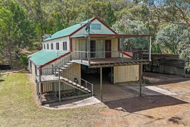 Lifestyle For Sale - QLD - Hirstglen - 4359 - DUAL LIVING, SUPERBLY APPOINTED EQUESTRIAN FACILITY  (Image 2)