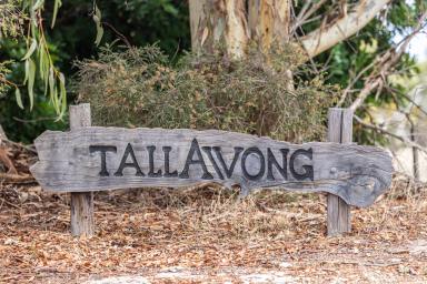 Livestock For Sale - SA - Willalooka - 5267 - 'Tallawong' Sustainable and Productive  (Image 2)