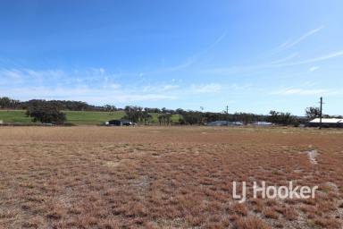 Residential Block For Sale - NSW - Inverell - 2360 - Ready to Go - Building Block  (Image 2)