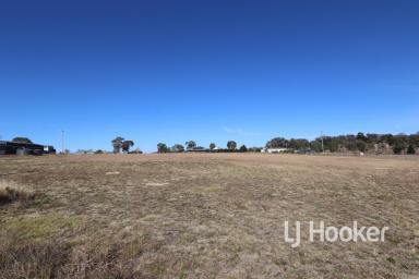 Residential Block For Sale - NSW - Inverell - 2360 - Ready to Go - Building Block  (Image 2)