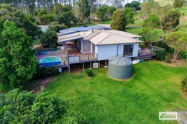 Acreage/Semi-rural For Sale - NSW - Hillville - 2430 - The Complete Rural Lifestyle Package  (Image 2)
