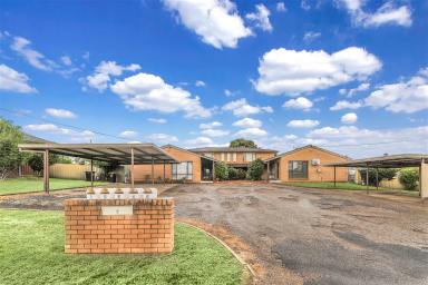 Unit For Sale - NSW - Tumut - 2720 - Centrally Located Renovated 2 Bedroom Unit (Image 2)