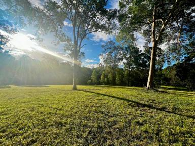 House For Sale - QLD - Carters Ridge - 4563 - Private 10-Acre Queenslander with Expansive Usable Paddocks, Dam & Established Lifestyle Infrastructure  (Image 2)