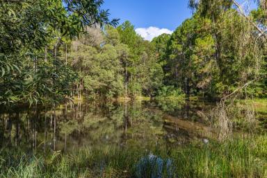 House For Sale - QLD - Carters Ridge - 4563 - Storybook Charm, Space & Serenity - Private 10-Acre Hinterland Hobby Farm Haven  (Image 2)