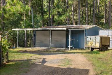 House For Sale - QLD - Carters Ridge - 4563 - Storybook Charm, Space & Serenity - Private 10-Acre Hinterland Hobby Farm Haven  (Image 2)