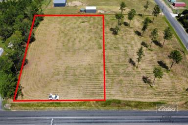 Residential Block For Sale - QLD - Glenwood - 4570 - BUILD, DEVELOP OR INVEST – MAIN ROAD POSITION  (Image 2)