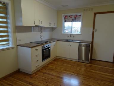 Unit For Lease - NSW - Albury - 2640 - Cozy living located near central Albury  (Image 2)