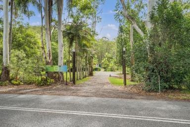 Acreage/Semi-rural For Sale - NSW - Telegraph Point - 2441 - Private 1.41 Acres With Established Venue & Diverse Income Options  (Image 2)