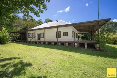 Lifestyle For Sale - NSW - Dorrigo - 2453 - Melaleuca Farmhouse  (Image 2)