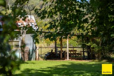 Lifestyle For Sale - NSW - Dorrigo - 2453 - Melaleuca Farmhouse  (Image 2)