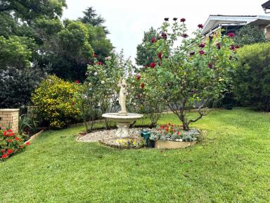 House For Sale - NSW - Cowra - 2794 - Space & Privacy in the heart of Cowra!  (Image 2)