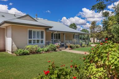 Lifestyle For Sale - NSW - Mudgee - 2850 - TOIKAN PARK - A RARE LIFESTYLE OPPORTUNITY  (Image 2)