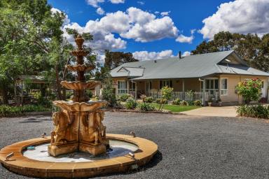 Lifestyle For Sale - NSW - Mudgee - 2850 - TOIKAN PARK - A RARE LIFESTYLE OPPORTUNITY  (Image 2)