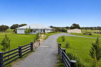 Acreage/Semi-rural For Sale - NSW - Rylstone - 2849 - REFINED FARMHOUSE LIVING WITH STUNNING RURAL VIEWS  (Image 2)