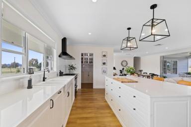 Acreage/Semi-rural For Sale - NSW - Rylstone - 2849 - SEVEN ACRES OF IMMACULATE LIVING  (Image 2)