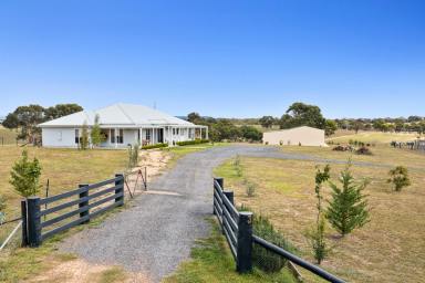 House For Sale - NSW - Rylstone - 2849 - REFINED FARMHOUSE LIVING WITH STUNNING RURAL VISTAS  (Image 2)
