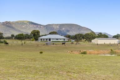 Acreage/Semi-rural For Sale - NSW - Rylstone - 2849 - REFINED FARMHOUSE LIVING WITH STUNNING RURAL VISTAS  (Image 2)
