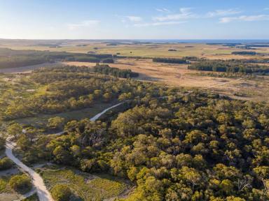 Other (Rural) For Sale - TAS - Waterhouse - 7262 - Waterhouse Land (Image 2)