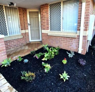 Unit For Sale - WA - Kinross - 6028 - Cosy, Quiet and Convenient Living - Perfect for Families or First Home Buyers  (Image 2)