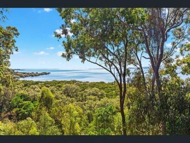 Residential Block For Sale - QLD - Macleay Island - 4184 - Waterfront Opportunity - 1234m2 with Sweeping Views! Island living at its finest! Build your dream..  (Image 2)